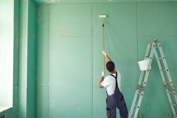 Best Mold Remediation for Healthcare Facilities  in Siesta Shores, TX