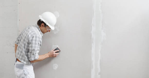 Best Forensic Mold Investigation  in Siesta Shores, TX
